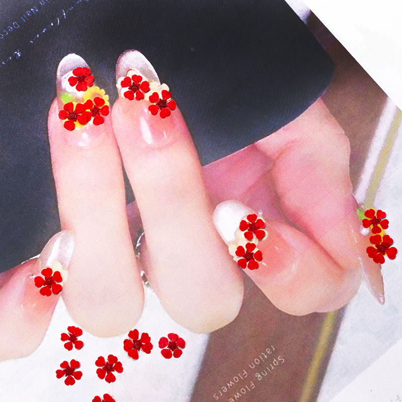 96Pcs Mini 1.5cm Natural Press - огляд і ціна Nail Art Natural