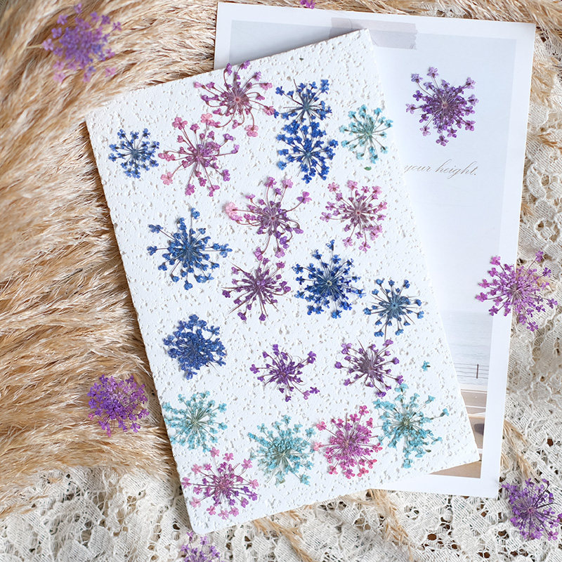 24pcs, 2-2.5cm, Nature Dyed Mi - огляд і ціна Nail Art Natural