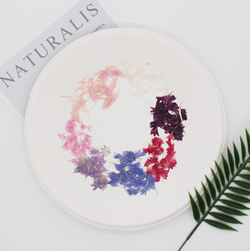 20 Plant Specimens, Cornflower - огляд і ціна Nail Art Natural