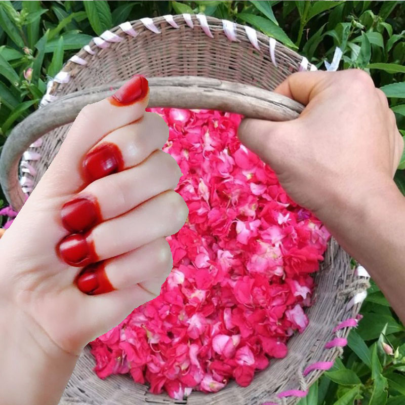 40g Henna Nail Dye Powder For  - огляд і ціна Nail Art Natural